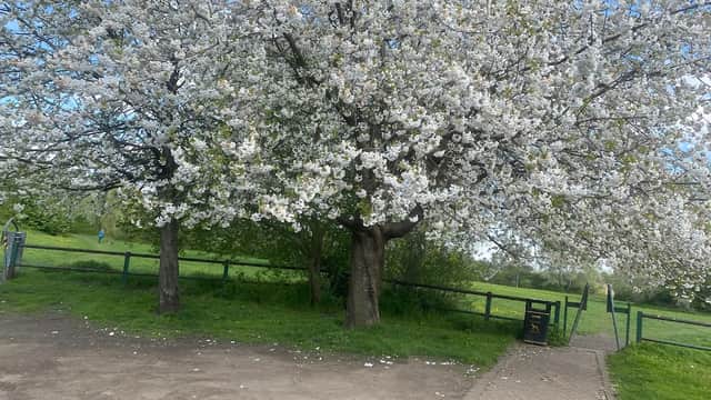 Queen Park - Park in mexborough