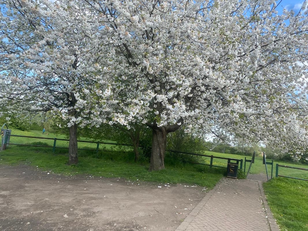 Queen Park
