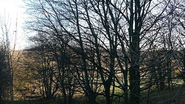Bus Stop at Bramley Fall Park - Bus Stops in bramley