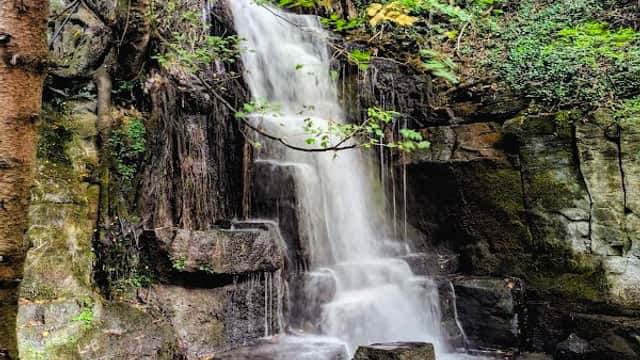 A serene waterfall cascading over rocky ledges, surrounded by lush greenery and trees in a tranquil setting.