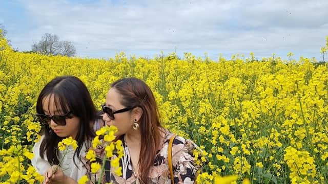 Two women in floral dresses surrounded by vibrant yellow flowers under a partly cloudy sky.