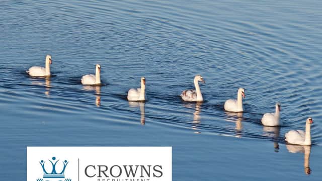 Crowns Recruitment ltd - Dentists in wetherby