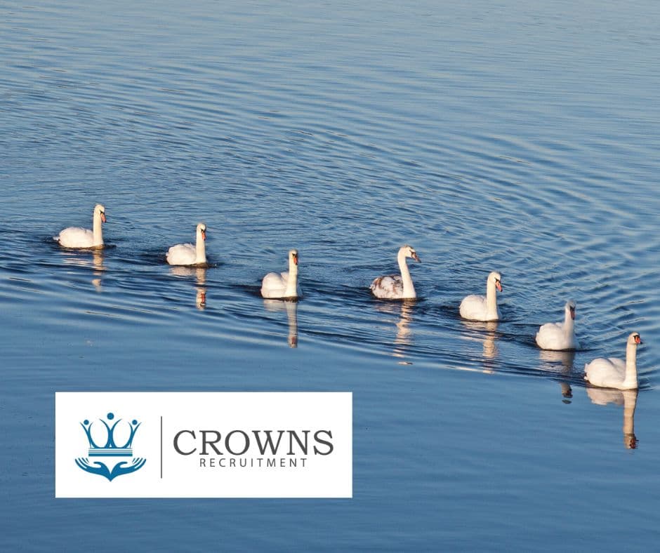 Crowns Recruitment ltd