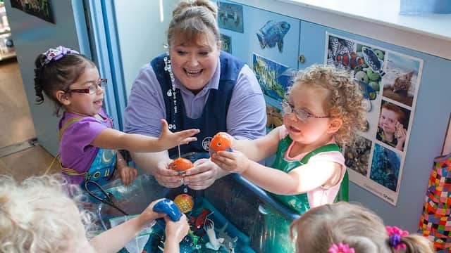 TreeTops Nursery - Nurseries in thornaby
