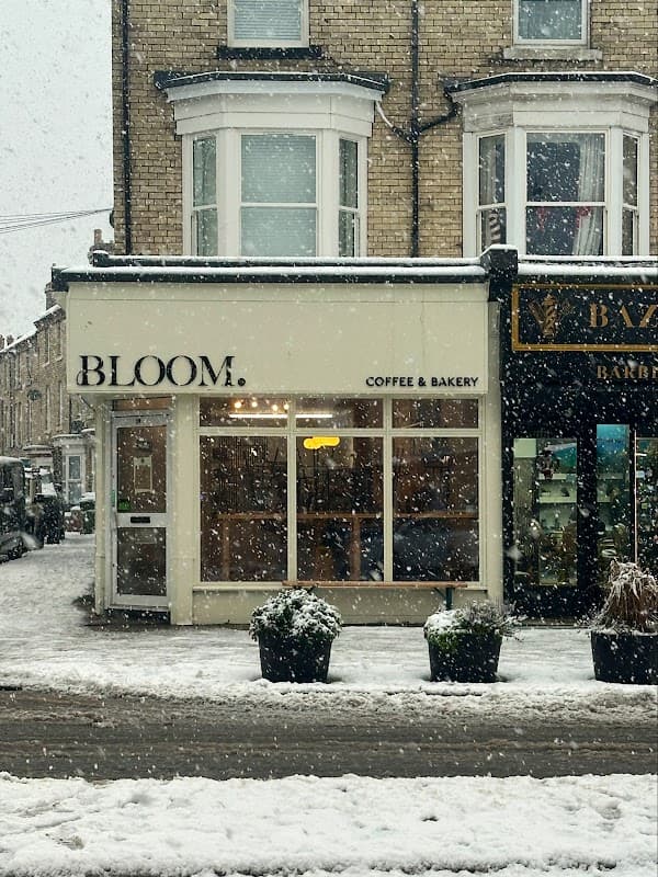 Bloom Coffee Shop & Bakery