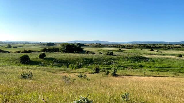 Coatham Marsh LNR - Nature Reserves in redcar