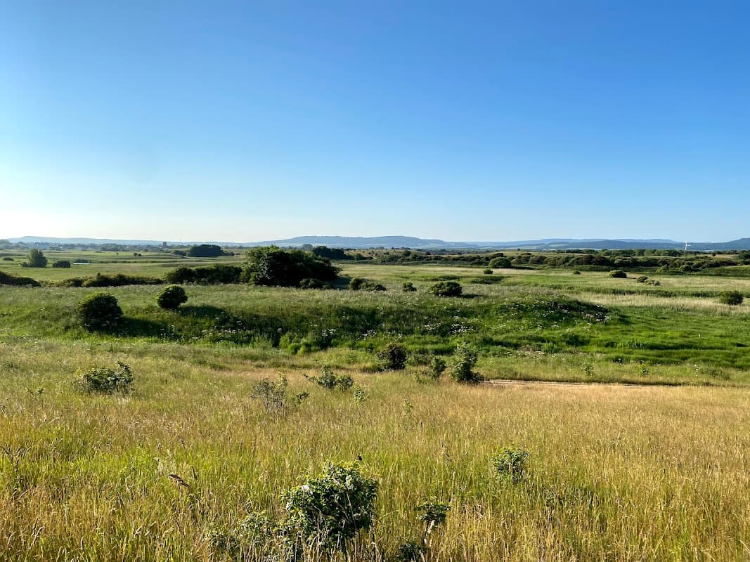 Coatham Marsh LNR
