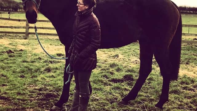 Stacie's equine services - Travel Agents in kirkbridge