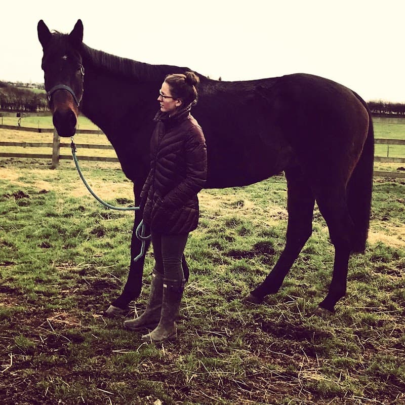 Stacie's equine services