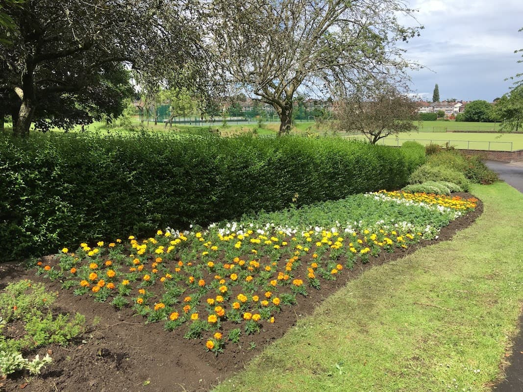 Hollinsend Recreation Ground Playground