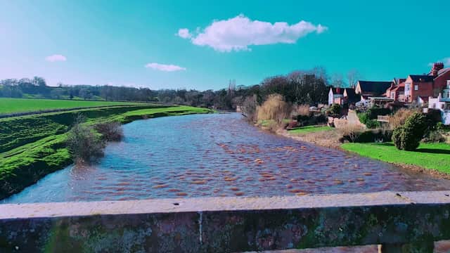 Scenic view of a river flowing through lush green fields, with houses lining the banks under a bright blue sky.
