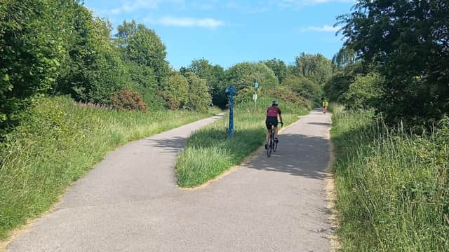 Two paths diverge in a green area, with a cyclist on one path and trees and bushes lining the route.