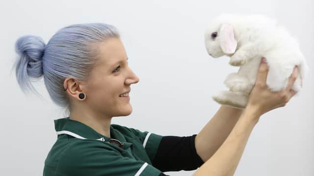 Ashlands Veterinary Centre, Ilkley - Vets in ilkley