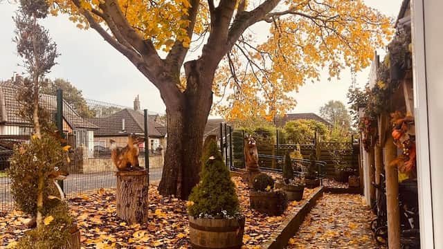 Natures Little Learners - Starbeck - Nurseries in knaresborough