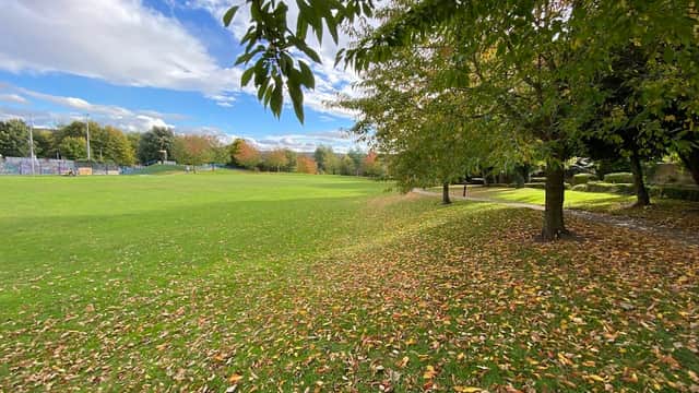 Lush green park with scattered autumn leaves, trees lining the edges, and a bright blue sky with clouds.