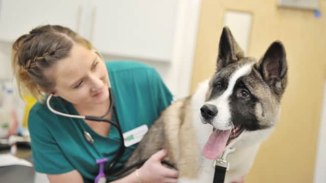 Holly House Veterinary Clinic - Vets in ilkley