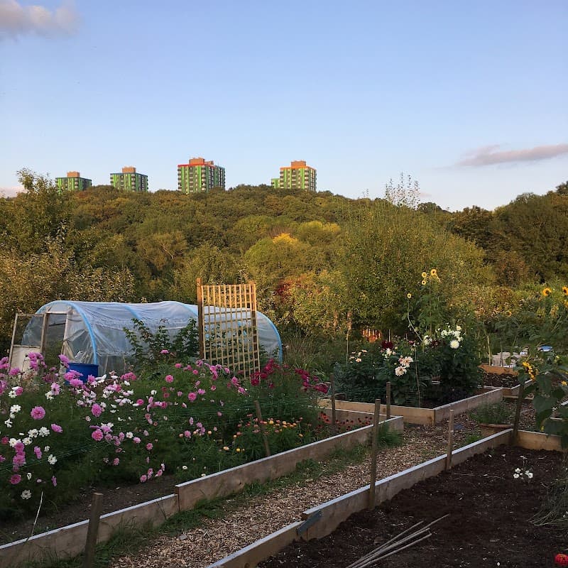 Bloom Sheffield CIC