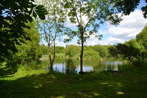 Otterington Park