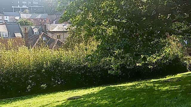 Bus Stop at St Hildas Terrace - Bus Stops in whitby