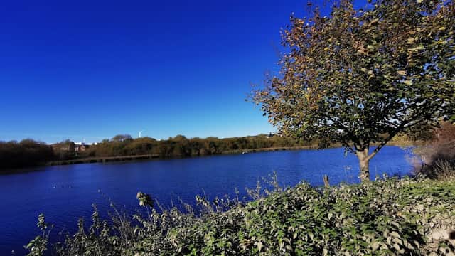 Lush greenery surrounds a tranquil lake under a clear blue sky at Catcliffe Flash Nature Reserve.