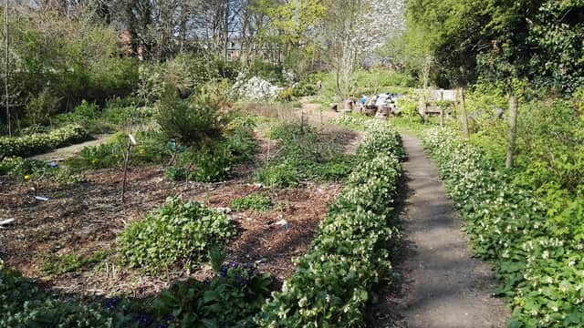 Bedford Fields Community Forest Garden