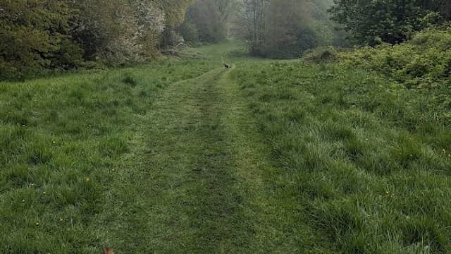 Woodthorpe Ravine - Park in manor