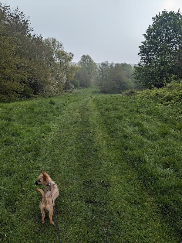Woodthorpe Ravine
