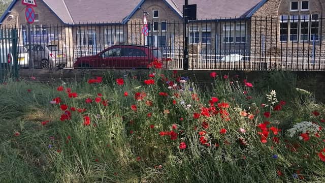 Hillsborough Primary School - Primary Schools in sheffield