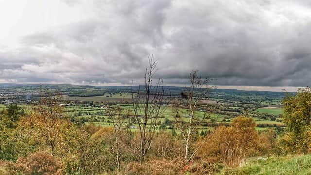 Panoramic view of rolling green hills and valleys under a cloudy sky, with autumn foliage in the foreground.