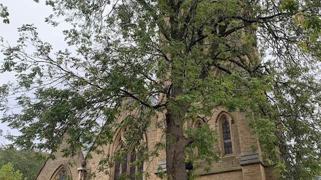 St Thomas' Church - Churches in huddersfield