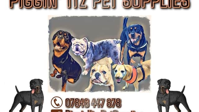 Piggin'Itz Pet Supplies - Pet Shops in barnsley