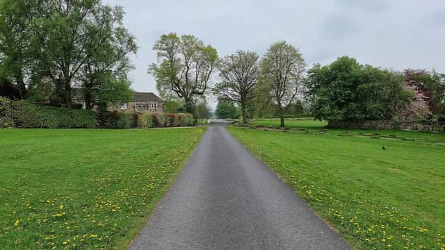 Grassy path lined with trees and dandelions, leading to a car park in a serene park setting.