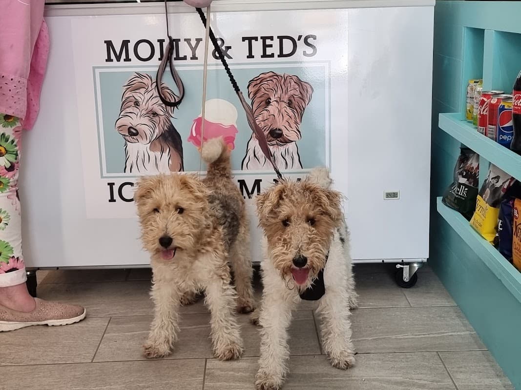 Molly & Ted's Ice-cream Bar