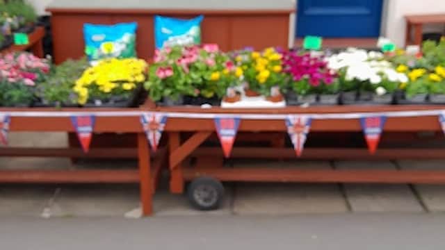 Wibsey Pet Foods - Pet Shops in bradford