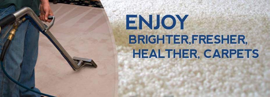 The Carpet Cleaning Pro