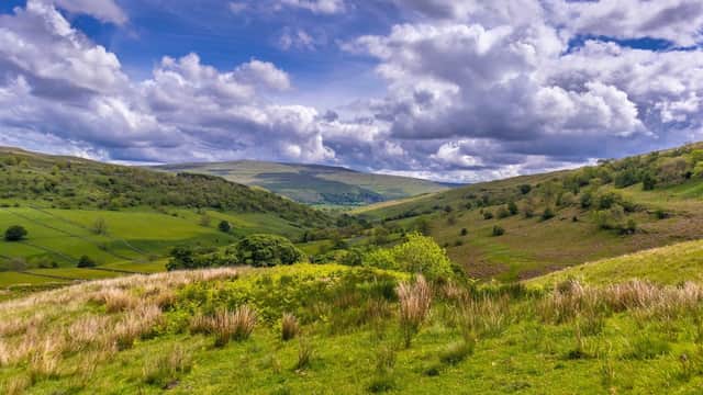 Jackson-Stops Yorkshire - Estate Agents in harrogate