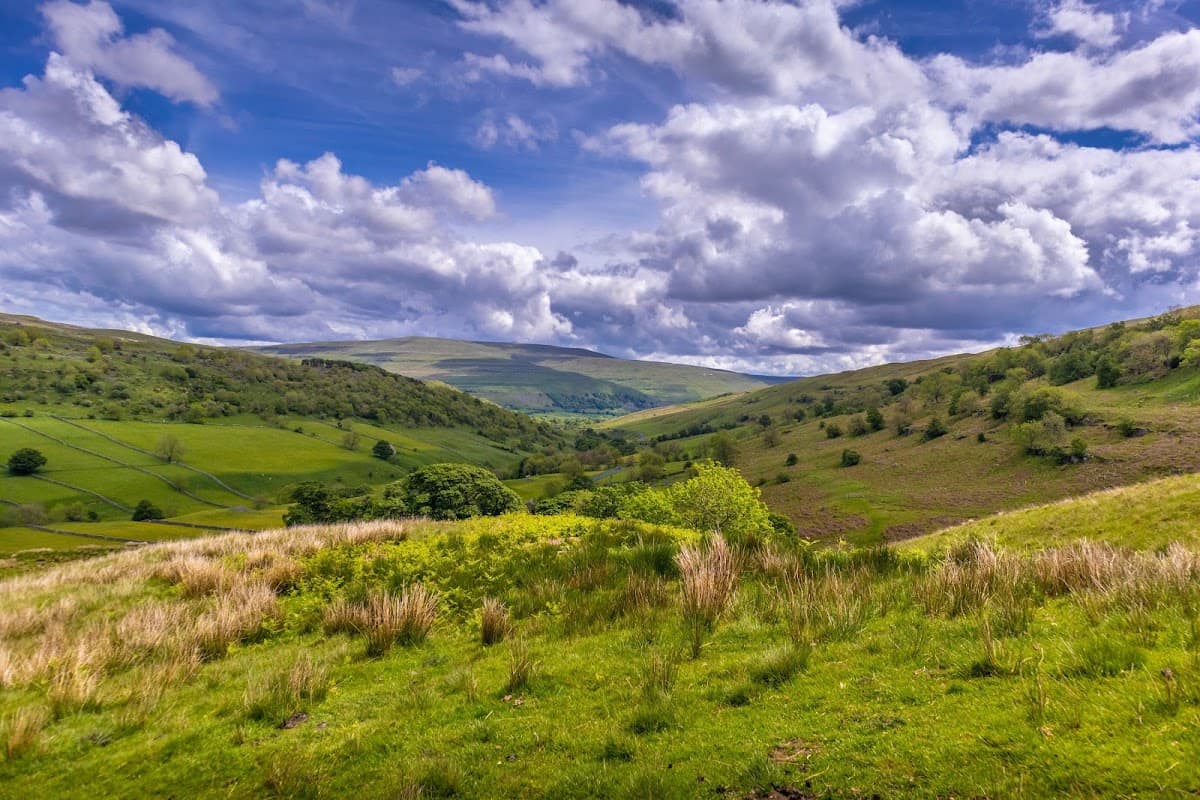 Jackson-Stops Yorkshire