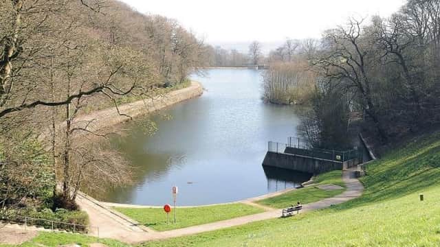 A serene lake surrounded by trees, with a path leading to a viewing area and a bench by the water's edge.