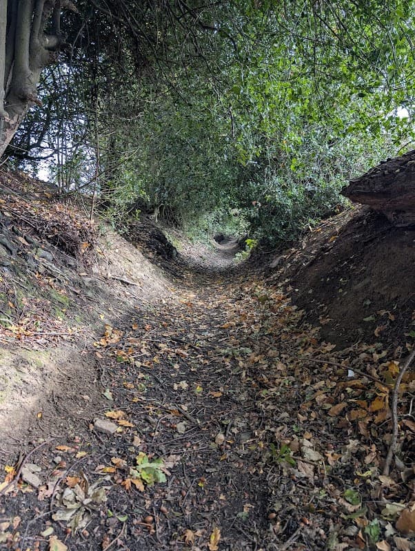 Magna Via to Beacon Hill