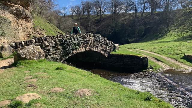 A stone bridge over a stream in a green valley, with trees and blue skies in the background. A person stands on the bridge.