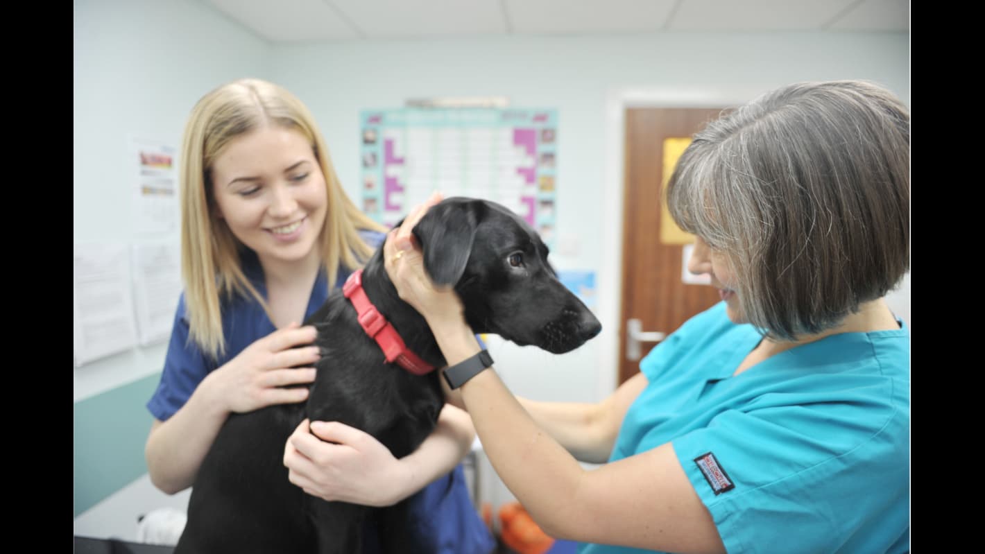 Abbeymoor Veterinary Centre, Abbey Lane