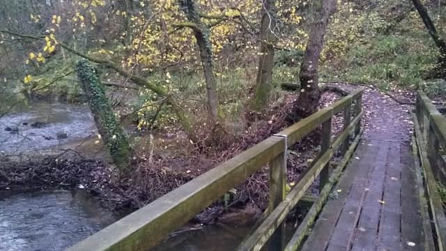 Wooden footbridge crossing a stream, surrounded by trees and autumn foliage in a serene natural setting.