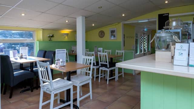 Bright café interior with wooden tables, white chairs, green walls, and large windows letting in natural light.