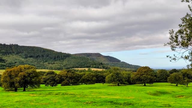 Lush green fields with scattered trees and rolling hills under a cloudy sky in Ingleby Greenhow, Yorkshire.