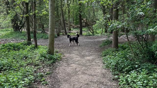 Hopewell Dog Park - Park in knaresborough