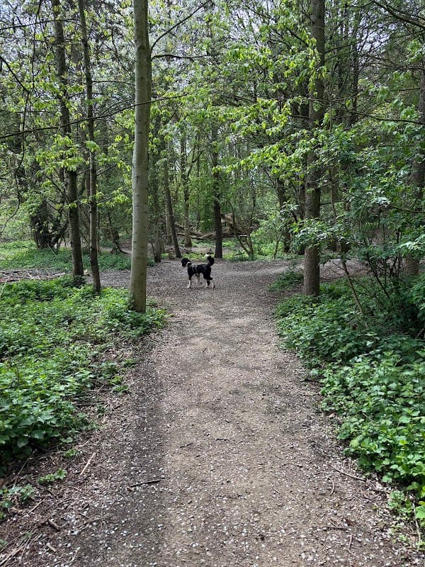 Hopewell Dog Park
