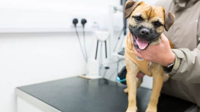 Gatehouse Veterinary Group Haworth - Vets in haworth