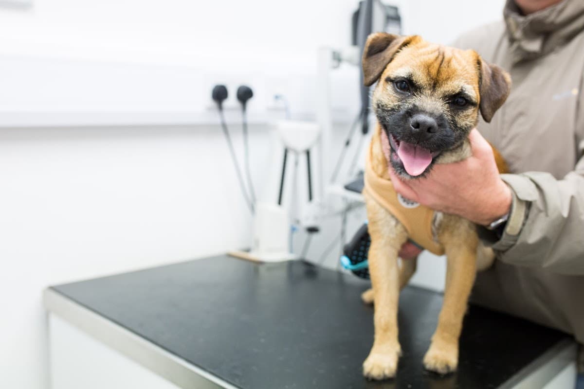 Gatehouse Veterinary Group Haworth