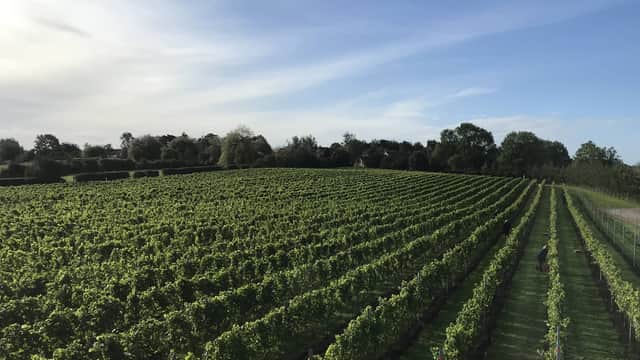 Dining at Dunesforde Vineyard in upper dunsforth