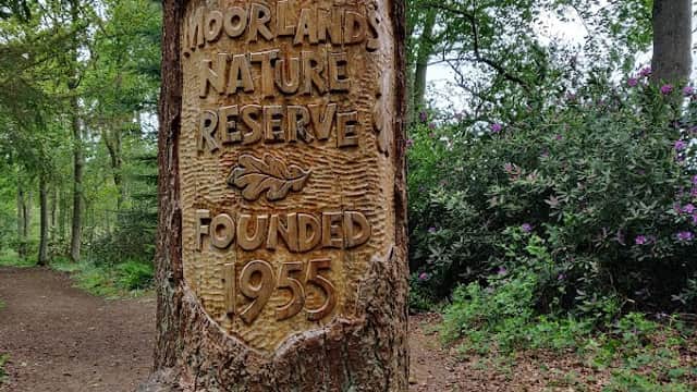 YWT Moorlands Woodland Nature Reserve - Nature Reserves in haxby